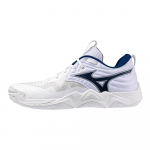 Mizuno Wave Momentum Elite Valge Sinine Unisex Tossud V1GA251255 36