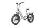 JOBOBIKE ROMER Elektrijalgratas 250W Vaikne Mootor 48V 15Ah Aku Eesmised Amordid Sileda S&otilde;idukogemuse jaoks piparm&uuml;ndiroheline v&auml;rv