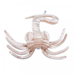 Facehugger Alien Chestburster Pehmem&auml;nguasi Anime T&auml;idisloom &Otilde;udus Hirmutav Pehmem&auml;nguasi Kuju Cosplay Rekvisiidid F&auml;nnide Kingitus Padi Kaunistus One Size