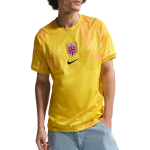 Nike Norra 2026 Staadioni V&auml;ravavahi Dri-Fit Repliika L&uuml;hikeste Varrukate S&auml;rk Lightning/Must/Must Meeste Toppid Kollane IB5321-718 S
