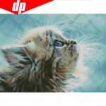 Teemanttikandid 5D teemantmaal ristpistes  Pussy Cat  teemantmosaiik &uuml;mmargune t&auml;ispuur 20X30