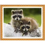 N&auml;put&ouml;&ouml; isetehtud teemantmaal Ristpistes pesukaru vend teemanttikandid T&auml;is&uuml;mmargune teemant 20X30CM