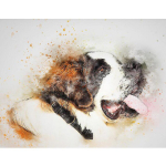 DIY teemanttikandid lemmikloomakoera teemantmaal  Saint Bernard Dog  5D t&auml;is&uuml;mmargune kivikivi 20X30CM