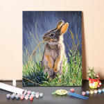 DIY maalimine numbrite j&auml;rgi Digitaalne &otilde;limaal Hobid Numbrite maalimine Kujutav kunst &Otilde;limaal Numbrid &Otilde;limaal Kodukaunistus 40x50cm no frame