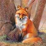 Teemantkunst Maalimine Loomade Teemanttikandid Rebase pildid kividest T&auml;ismosaiik k&auml;sitsi valmistatud kingitus Full Round 30x30CM punane