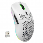 HXSJ T66 RGB 2.4G juhtmevaba m&auml;nguhiir RGB valgustusega laadimishiir reguleeritava DPI-ga ergonoomiline valge