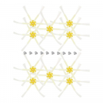 10 tk k&uuml;lghari + 10 tk kruvid iRobot Roomba jaoks 500 600 700 seeria 550 560 630 650 760 770 780 tolmuimeja tarvikud osad