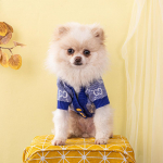 Uus disainer Tide br&auml;ndi lemmiklooma kampsun s&uuml;gis/talv kootud kampsun kutsikad riided koera kost&uuml;&uuml;m Bago kaisu koera riided XS valge