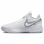 Nike Zoom LeBron NXXT Gen EP Valged Meeste Tennised Must Metallik-H&otilde;bedane DR8788-101 41