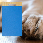 Dog Scratch Pad Pet Stretching Grooming Nail Board Alternative to Clippers
