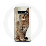 &Uuml;mbris Samsung Galaxy S10 siiami kassi t&otilde;ugu jaoks