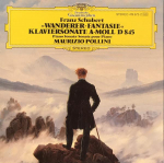 CD FRANZ SCHUBERT MAURIZIO POLLINI  R&auml;ndajafantaasia Klaverisonaat a 4196722 Deutsche Grammo Saksamaa Klassikaline Kasutatud