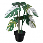 6 tk 3D-prinditud Monstera lehe alusaluse komplekt Eemaldatavad taimeteemalised joogialused Peidetud hoiupotiga Ainulaadne kodukaunistuskingitus taimehuvilistele