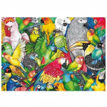 Puzzle 500 pi&egrave;ces - Educa - Perroquets - Animaux - Adulte - Blanc