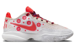 Mimi Plange X Nike LeBron 20 Premium EP Ceremony FJ0724-801 38 gray