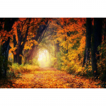 &Uuml;mar puur DIY Teemantmaal S&uuml;gismaastik Ristpistes Maastiku Teemanttikandid 20X30CM