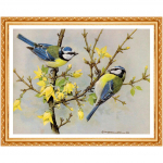 Teemanttikandid Maastik Lillelinnud Pildid5D Teemantmaaling Ale Hobi K&auml;sit&ouml;&ouml; K&auml;sit&ouml;&ouml; 20X30CM