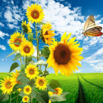 Ristpistete komplekt DIY Teemanttikandid P&auml;evalille Teemantmaal Mosaiik Kodukaunistus 30X30CM