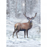 T&auml;iesti uus 5D isetegemise teemantmaal, j&otilde;ulup&otilde;dra tikandiga ruut / &uuml;mmargune teemantristpistes maastik teemantmosaiikmaalide kaunistus Full Round 20X30CM