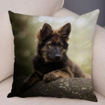 Saksa lambakoera padjap&uuml;&uuml;r Superpehme l&uuml;hike pl&uuml;&uuml;sist padjakate diivanile kodu padjap&uuml;&uuml;r Decor Lemmikloom 45*45cm katted 45*45cm