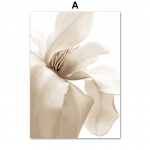 White Shell Beach Flower V&otilde;ilill Line Abstract Figuuri Kunst L&otilde;uendimaal P&otilde;hjamaade Tr&uuml;kiplakatid Seinapildid Kodu Deokreerimiseks A4 21x30cm No Frame