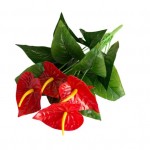 Vastupidavad simulatsioonitaimed Kastmata Vivid Immortal punane/roheline