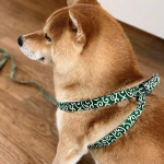 V&auml;ike koer, keskmise suurusega koerarakmed, koerte jalutusrihm, Shiba Inu rakmed, &uuml;mberp&ouml;&ouml;ramisvastane arabeskmustriga rinnarihm, rihmakomplekt, roheline, L beige
