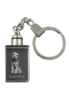 Border Terrier - Crystal key ring with dog photo, illuminated key ring, unique gift by Art-Dog brand puhas