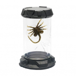 Facehuggeri popkorni &auml;mber LED-tulnuka kaheksajala kombitsad Stasis Chamber Tank gooti t&ouml;&ouml;laud