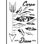 Transfert thermocollant noir & blanc A4 - Carpe diem