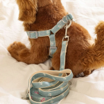 [Lemmikloom] jalutusrihmade komplekt