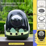 Kaasaskantav kassi seljakott: V&auml;ljas&otilde;iduks Kapsel Lemmiklooma Transpordikast With Side Opening [Upgraded 5-piece Set]