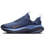 Nike ReactX Infinity Run 4 GORE-TEX Thunder Blue Metallic Red Bronze Naiste tossud Diffused-Blue Royal-Pulse HQ0264-401 35.5