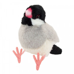 Yoshitoku Kotori no Ne Java varblane 180093