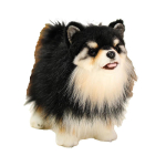 Armsad mustad pomeranian koera pehmed m&auml;nguasjad, pehme t&auml;idisega simulatsiooniloom, armas lemmikloom, kohev kutsikas, beebi magamispadi lastele, t&uuml;drukutele 25cm black