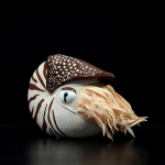 Elutruu nautiluse pl&uuml;&uuml;slelusid P&auml;riseluline kamber-nautilus pehmo m&auml;nguasi Pehmed mereliigi m&auml;nguasjad Kingitused lastele 18cm