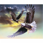 5D DIY teemantmaal  Soaring Eagle  Tikand Ristpistes Rhinestone Mosaiic maali kingitus 20X30CM