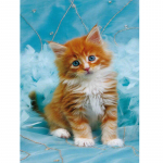 5D Teemantmaalid T&auml;ispuurid Mosaiik Kassi tikandid Muster ristpistes 20X30CM