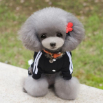 XS-XXL Lemmiklooma koera riided Soe koera kombinesoon kassi kutsika pidžaama riided Paks lemmiklooma kapuutsiga mantel koertele M