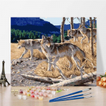 Digitaalne &otilde;limaal Kodukaunistus L&otilde;uend Numbrid &Otilde;limaal DIY maal numbrite j&auml;rgi Kunst 40x50cm no frame