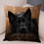 Saksa lambakoera padjap&uuml;&uuml;r Superpehme l&uuml;hike pl&uuml;&uuml;sist padjakate diivanile kodu padjap&uuml;&uuml;r Decor Lemmikloom 45*45cm katted 45*45cm