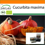 SAFLAX - Aed kotis - Mahe - Squash - Hokkaido - 5 seemet - Substraadiga sobivas p&uuml;stises kotis - Cucurbita maxima