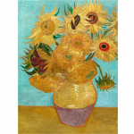 DIY Teemantmaal Van Goghi maalid Ristpistete komplekt Mosaiikkunst Teemantmaal T&auml;isringi teemant Kodukaunistus Round 50x70cm