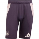 Adidas Arsenal Tiro 24 FW24 Treening Hingav Mood Vabaaeg Spordip&uuml;ksid Meeste P&uuml;ksid Aurora-Must JF2918 M