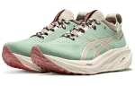 ASICS Gel Nimbus 26 Tr Nature Bathing Rose Rougue Naiste 1012B653-250 38 white