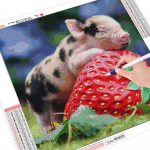 5d Teemantmaaling Pig Ise tee Teemanttikandid Sale Animal Full Diamond 30x30