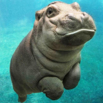 K&auml;sit&ouml;&ouml; Mosaiik Kingitus Armas j&otilde;ehobu beebi teemantmaaling Tikand Teemantristpistes Teemant 30x30CM