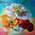 Huacani DIY 5D teemanttikandid lilledega kivist ristpistega maal sisekujundus 30*30 CM