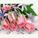 Roosa Roos 5D Teemantmaal T&auml;is&uuml;mmargune Daimond Tikand Diamante Mosaiik Rhinestones Ristpistes Kit Home Decor 20X30CM