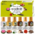 Parag Fragrances 6 in 1 Kannauji Attar Set of Pure, Natural & Long Lasting Attar 6 ml &times; 6